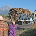 Cane truck with Volcan Colima behind