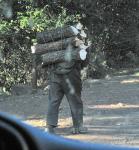 Man with bundle of firewood