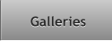 Galleries Galleries