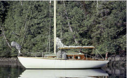 Caricorn, 29' wood Cove sloop, Volvo MD2, 1972-97